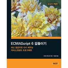 征服ECMAScript 6：用最新標準重新學習JavaScript程式設計, Acorn出版