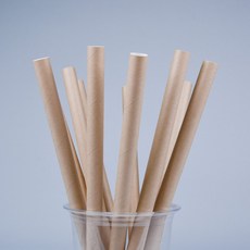 DAESUNG ENGINEERING 原包裝牛皮紙吸管 散裝 12 x 25, 1個, 250個