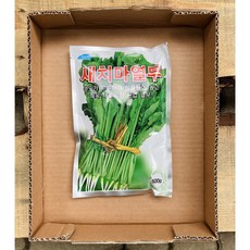 열무종자(암무/판엽열무)새치마열무 500g, 1개