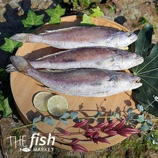 반건조민어 국산, 1개, 1마리(대/36cm내외)