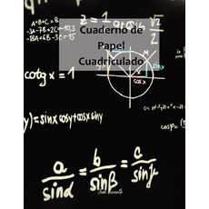 Graph Paper Notebook Paperback, Surleac Eusebiu, English, 9783434038696
