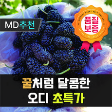 [재구매율1위] 냉동 오디! 고객 만족 100% 진한 맛과 영양 탱글탱글 그대로, 1개, 특품 8kg
