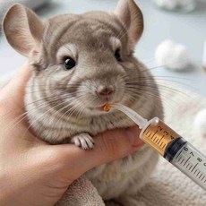 소동물 이유식 곡관 주입기 12ml 덴탈케어주입기