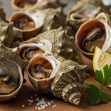 [하루20박스만] 산지직송 자연산 국내산 뿔소라, 1개, 1kg