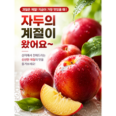 [1등A급특가] 산지직송 국내산 제철 대석 자두, 1박스, 2kg (중)