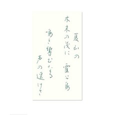 PILOT iroshizuku 色彩雫鋼筆墨水 50ml, 1個, 深綠色SHR