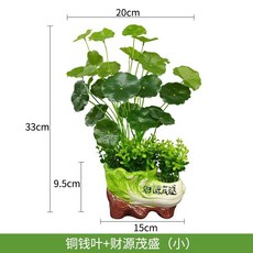 仿真盆栽 室內外裝飾 人造綠植物擺件 家居客廳裝飾品, 銅錢葉+財源茂盛（小）, 1個