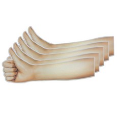 5매 195x85mm 팔근육 만들기용 손 팔/전완 그림 도안 초등학생 팔뚝 이두근 장치 학습 초등