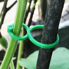 클립 고정 홀더 식물 chl+78977ph