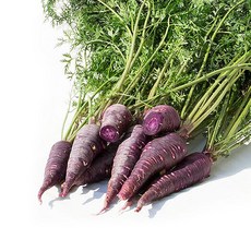 [푸르젠] 충남 서산 나영길님의 자색당근, 1개, 1kg(정품)