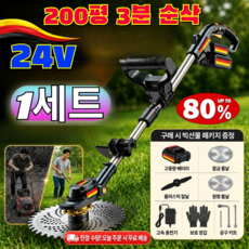 충전식 브러시리스 잔디깎기 무선 예초기 독일 모터 초경량 제초기 합금 톱날 벌초 용품 잡초 제거 정원 관리기 세트/무선예초기/벌초용품, CH6001, 24V, 1세트