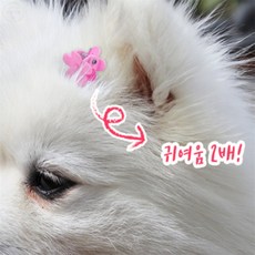 무유무유디자인 애견 머리핀 강아지핀, 꽃잎, 1개
