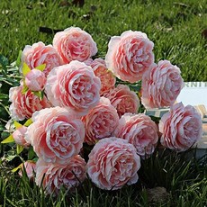 조화 라넌큘러스 화분 탁상 블루 인테리어 소품 핑크 화이트 피치 블루 실내 거실 탁상+모티브코리아Shop, 4–라넌큘러스–블루