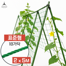 레아하브 플랜트메이트 식물그물망, 1개, [그린] 표준형