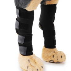 강아지관절보호대 M 레드 강아지슬개골보호대, 없음