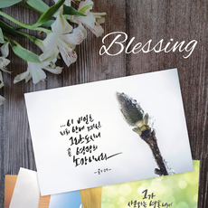 Sunnish-line 블레싱 말씀 엽서 세트 3가지 테마 5종 1세트 말씀양식 사진캘리그라피, 소망