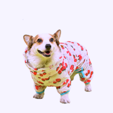 Rimadok狗狗多合一雨衣反光雨衣 小型犬 中型犬 大型犬, 草莓邦邦