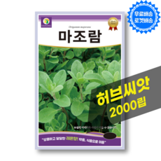 마조람 씨앗 Marjoram 종자 허브 씨앗 허브키우기 종자, 1개