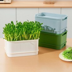 AVENIX 수경재배키트 재배기 상추 콩나물 새싹 키트, 밀키화이트 단일 칸 1세트, 1개, 1g