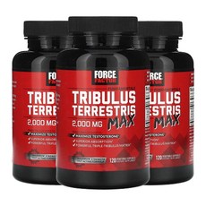 포스팩터 펀더멘탈 트리블러스 테러스트리스 맥스 2 000mg 베지 캡슐 120 정(캡슐 1정당 500mg), 3팩, 120캡슐, 120정