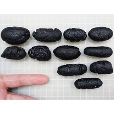 RIZALITE Tektite 長條型菲律賓黑隕石套組，共11顆總重300克，能量礦石擺件，提升居家空間的和諧與平衡, Black