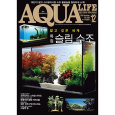 2025년 아쿠아라이프 12월호 [얇고 깊은 세계 - 슬림 수조], 단품, 단품