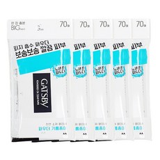 갸스비 파우더 기름종이, 70매입, 5개