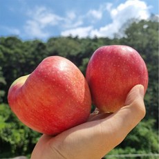 WISHPICK 홍로 사과 2kg 경북사과