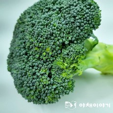 야채이야기 신선한 브로콜리 2kg, 1개