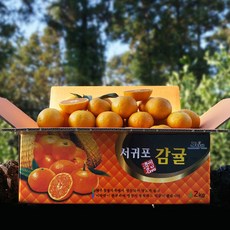 귤담원 제주 제철 감귤, 21.감귤 2kg 소과(2S), 1박스