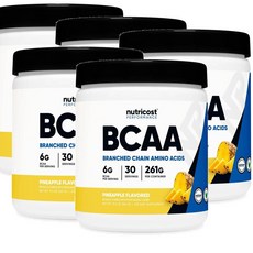 뉴트리코스트 아미노산 파우더 파인애플맛 Nutricost BCAA, 5개, 261g