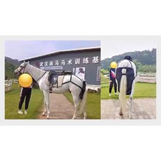 말 똥가방 기저귀 말똥백 마구 마차 분뇨 승마 안장 축사, 라지(성마공용)
