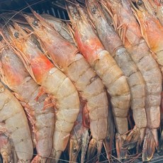 산지직송 국내산 냉동 대하, 1개, 1kg(34~40미)