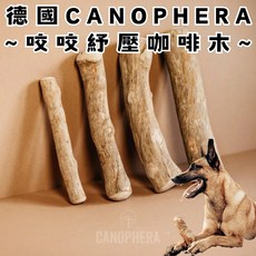 德國 CANOPHERA 咖啡木狗咬棒 堅固耐用 潔牙樂趣多 多種尺寸可選, 1個, XS