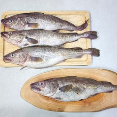 강원도 삼척 급냉 대구 탕 지리 찜 용, 1개, 1.5kg(1-3미)