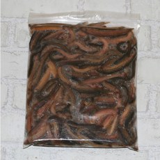 해감 냉동미꾸라지 대형어먹이 거북이먹이 냉동먹이류 대사이즈, 1개