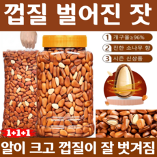 [인기 상품] 백년 수령 홍송 잣 제철 신과 개봉율 96% 대과 내추럴 소나무 향 프리미엄 잣 스낵, 100g*1(봉지형), 100g