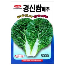 세인화분 경신 쌈배추 500립 - 씨 씨앗 배추씨 배추씨앗 쌈배추씨 채소 야채, 1개