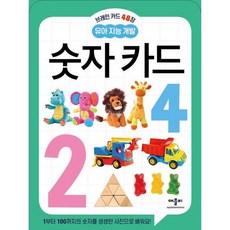 브레인 카드 48장 유아 지능 개발 숫자 카드 [장난감/완구], 없음