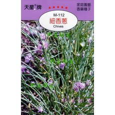 天星牌 細香蔥 種子 M-112 家庭園藝蔬菜種子, 1包