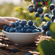 사이즈 균일 A급 냉동 블루베리 1kg 중국산 세척 냉동과일 토핑 스무디, 2세트