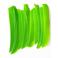18-25CM 양궁 Fletching 화살 깃털 여러 가지 빛깔의 전체 길이 컷 없음 진짜 칠면조 DIY 샤프트 50 개, 16 fluorescent green, 1개