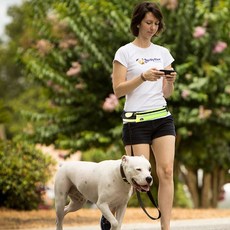 애견 산책용 런닝밸트/리드줄 목줄 가슴줄 강아지 외출, 애견 산책용 런닝밸트 스카이