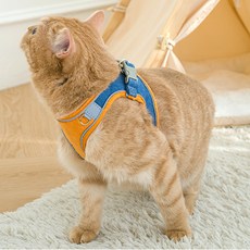 고양이 하네스 가슴줄 목줄 고양이전용 산책줄, 딥블루, 1개