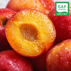 [당일 수확 발송] 친환경 자두 당도선별 GAP인증, 1개, 500g(5~8입)