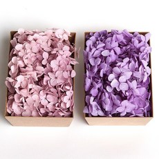 화연양화 톤온톤 박스 수국 2개입 프리저브드플라워 시들지않는생화, 08 라벤더톤