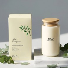 캔들백화점 실내정화/호흡기에 도움을 주는 리얼 유칼립투스 아로마 캔들(워머전용) 국내산 타이머 캔들워머, 리얼 유칼립투스 460g+2개 (단품)