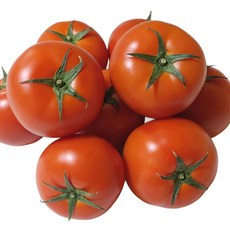 완숙 찰 토마토 사이즈 혼합 5kg, 1개