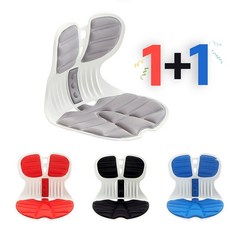 1+1 콤비체어 허리 바른자세 교정의자 요추 척추 등받이 좌식의자, 와이드 [ 블루 + 블루 ], 2개