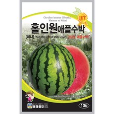 [주주씨앗] 애플수박 씨앗 10립 봄 파종 작물 종자 씨앗 몰 고당도 미니수박 종자, 1개